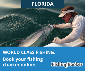 florida fishing charters c8a57266 14 tips for hiring the right Florida fishing charters